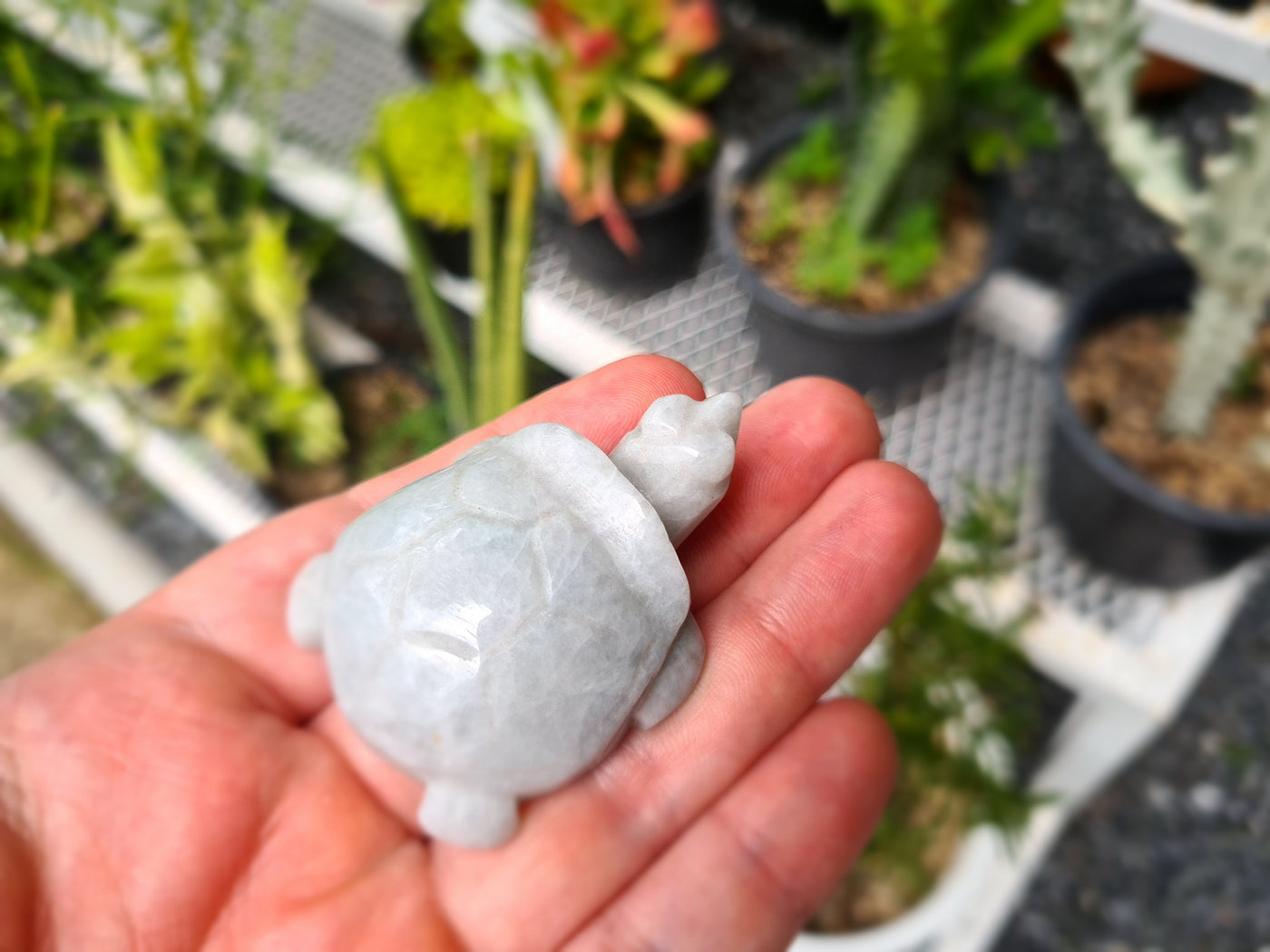 White Jade Turtle Figurine